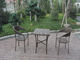 European Style Rattan Garden Dining Sets For Bistro / Balcony